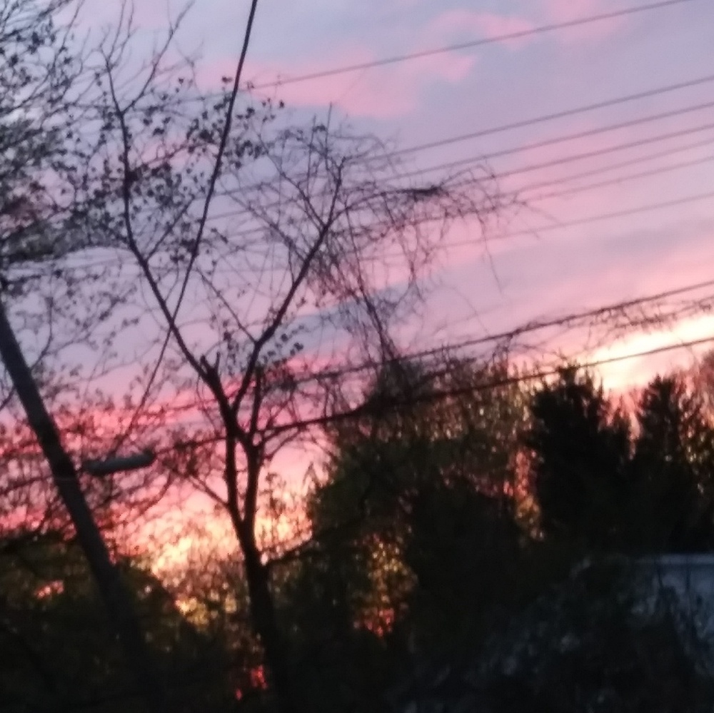 Meet your Posher, Ash